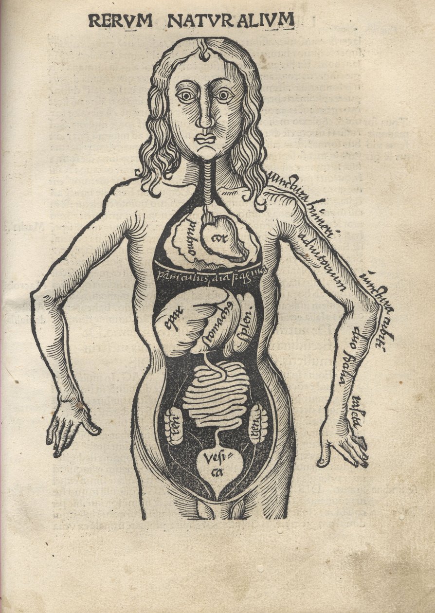 Margarita Filozófiai Anatómia, 1504 alkotó: Gregor Reisch