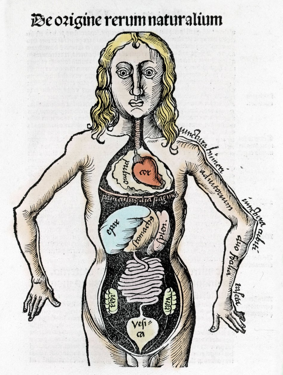 Gregor Reisch (1467-1525), Bale 1517 - Philosophicai Margit (1467-1525), Bale alkotó: Gregor Reisch