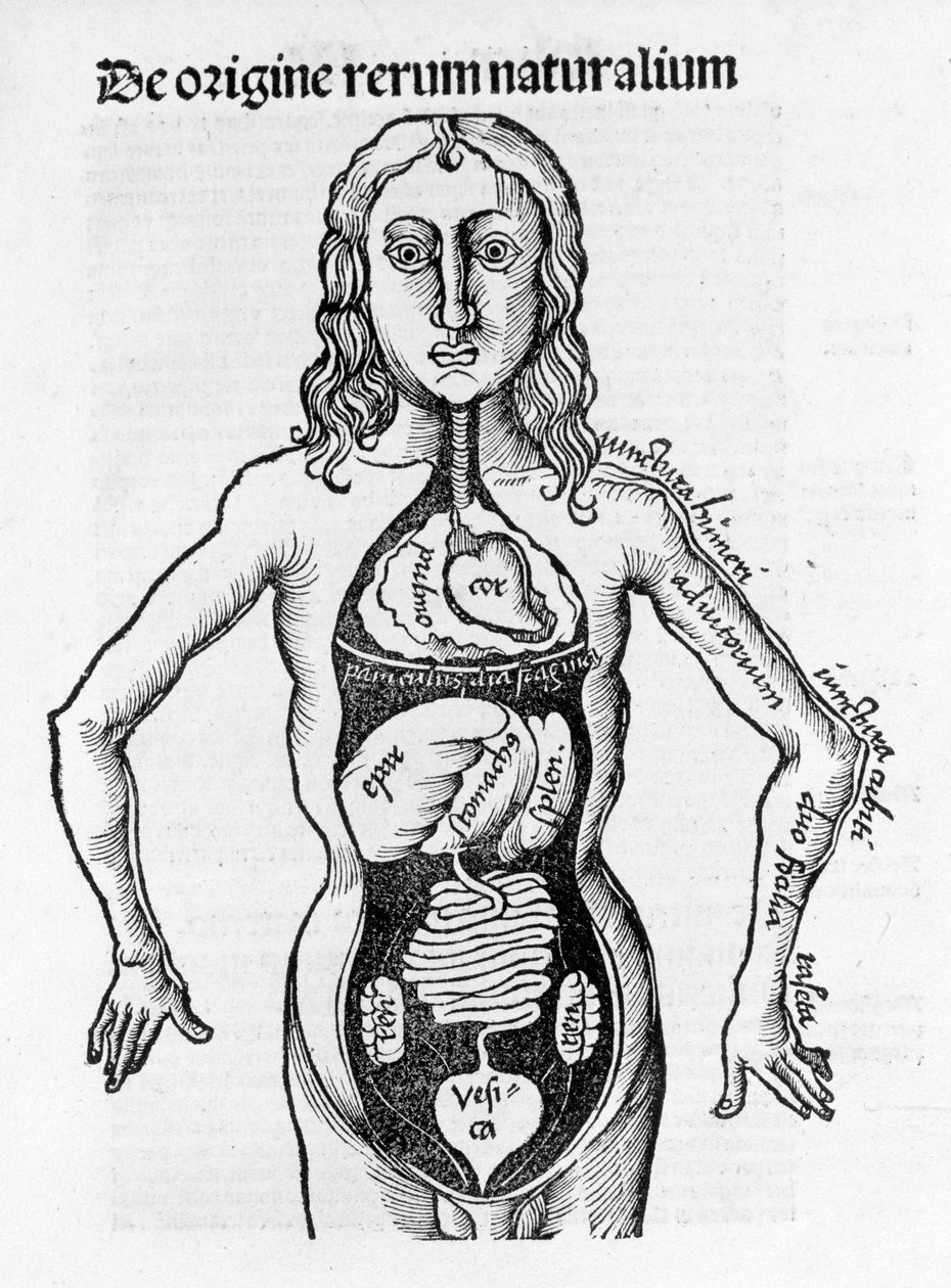 Gregor Reisch (1467-1525), Bale 1517 - Philosophicai Margit (1467-1525), Bale alkotó: Gregor Reisch