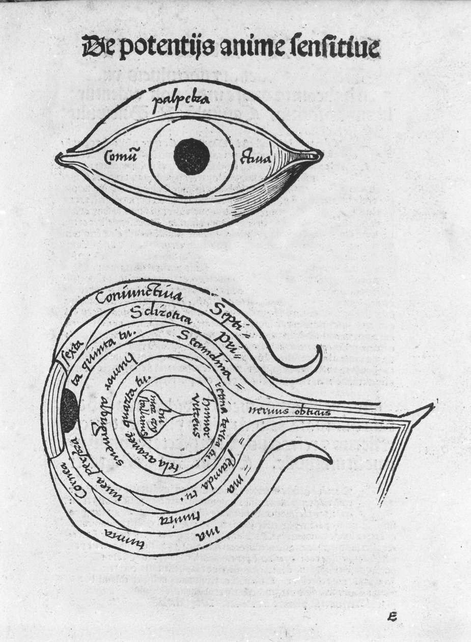 Az ember szemének tanulmányozása. Anatómiai tábla a „Margarita Philosophicából”, Gregor Reisch (1467-1525), Bale 1517. alkotó: Gregor Reisch