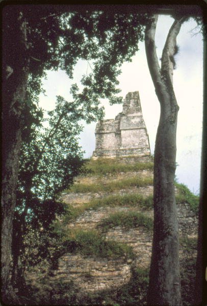 A feliratok temploma, Kr. u. 700 körül alkotó: Guatemalan School
