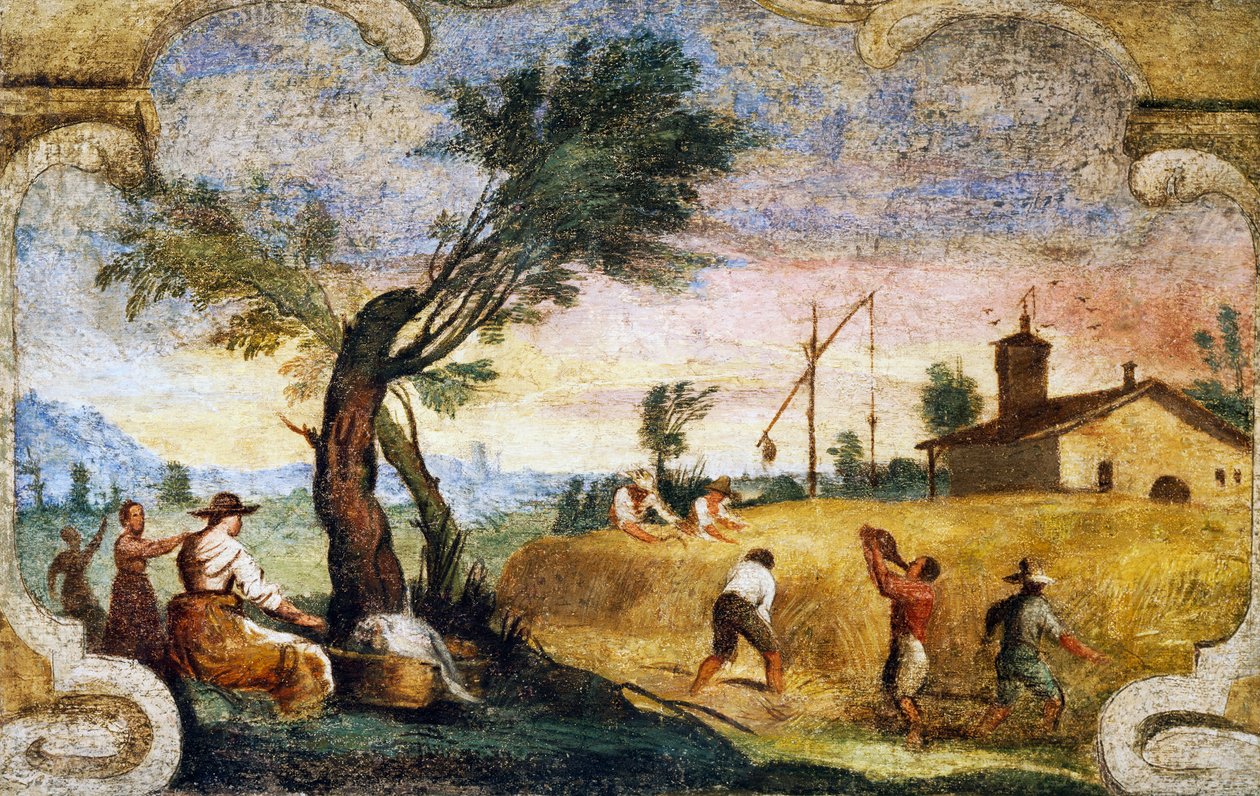 A betakarítás, Giovanni Francesco Barbieri, il Guercino (1591-1666) freskója. alkotó: Guercino