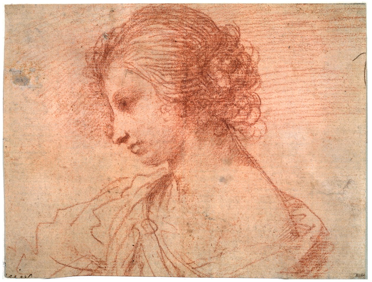 Fiatal nő mellportréja, 17. század alkotó: Guercino