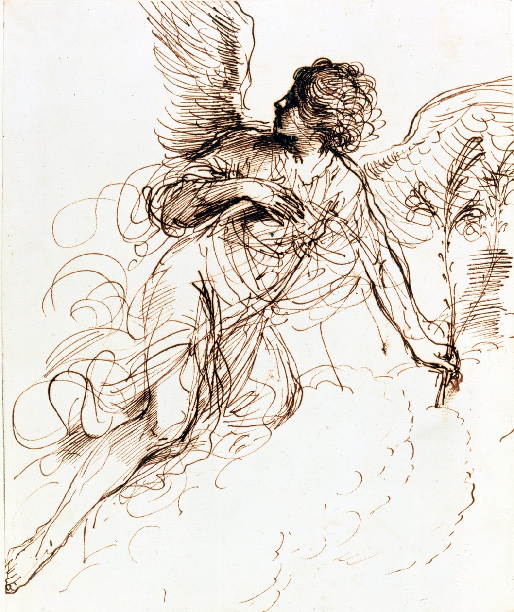 Tanulmány egy angyalról, c1611-1666 alkotó: Guercino