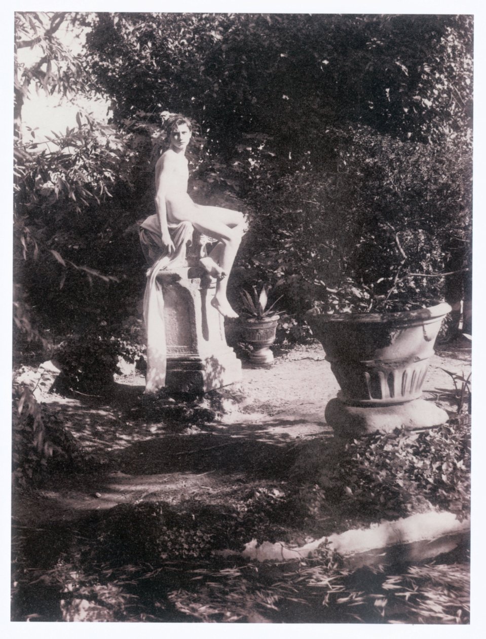 Fotós (fotó) alkotó: Guglielmo (1852 1930) Plüschow