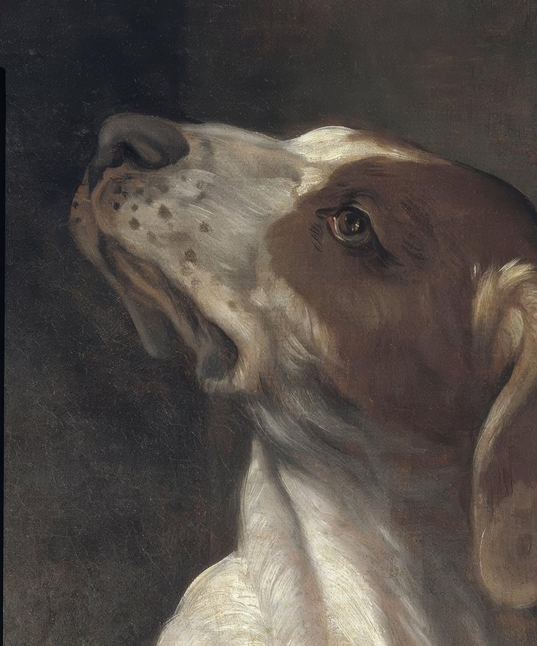 Szent Rókus a börtönben, egy angyal vigasztalja alkotó: Guido Reni
