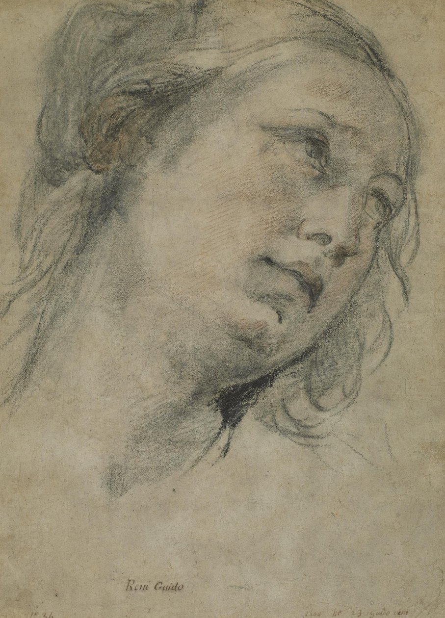 Egy fiatal nő feje felnéz alkotó: Guido Reni