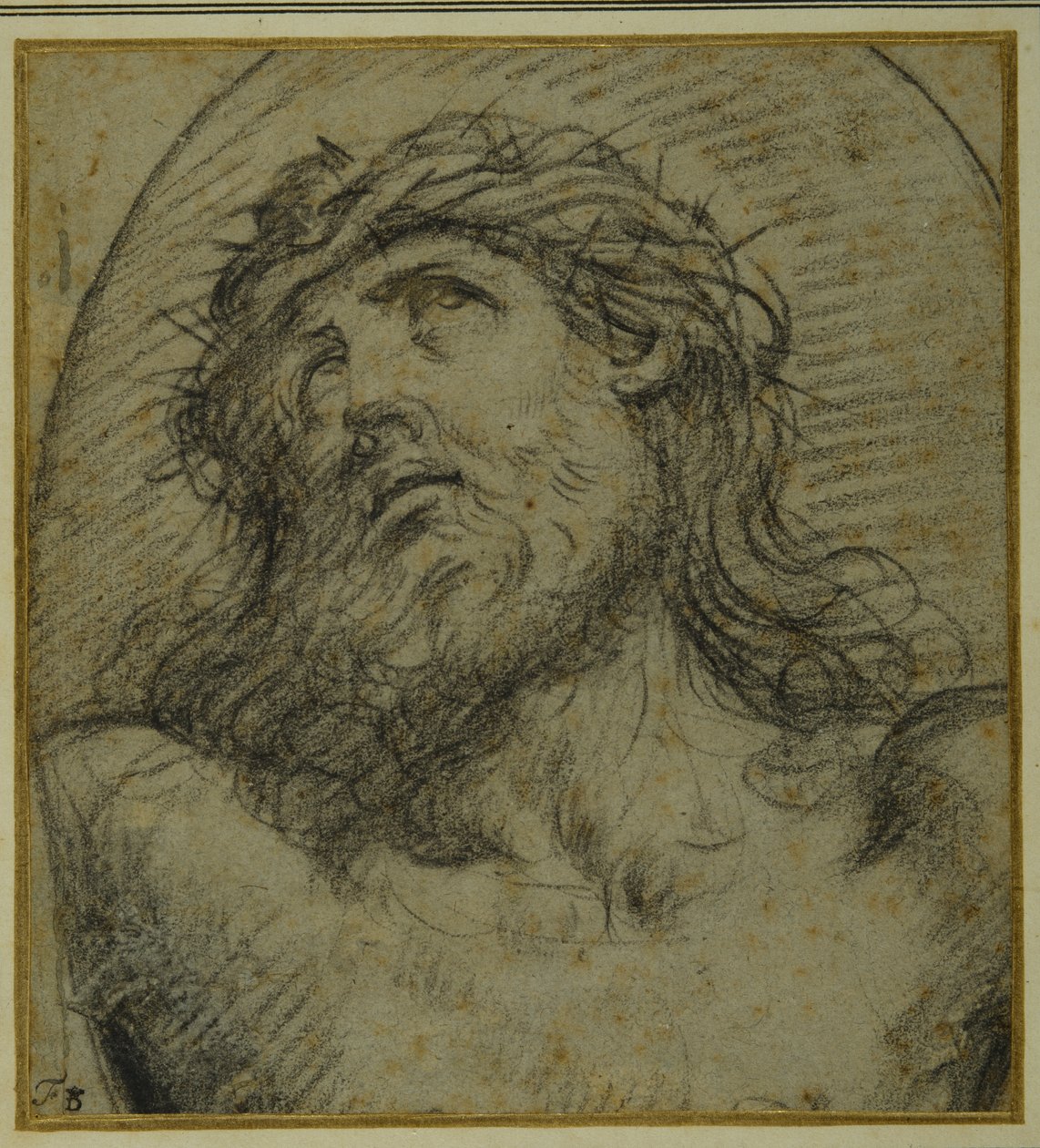 A keresztre feszített élő Krisztus feje és válla (fekete kréta a carta azzurrán) alkotó: Guido Reni