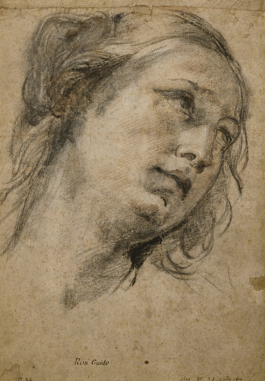 Egy nő feje, aki jobbra néz, alkotó: Guido Reni