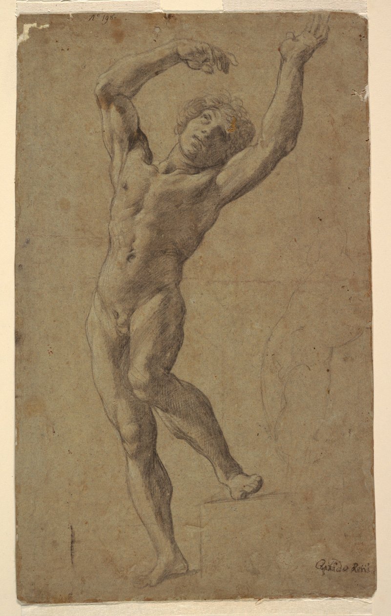 St. Sebastian tanulmánya, Pomarici Santomasi Múzeum, Puglia, Olaszország alkotó: Guido Reni