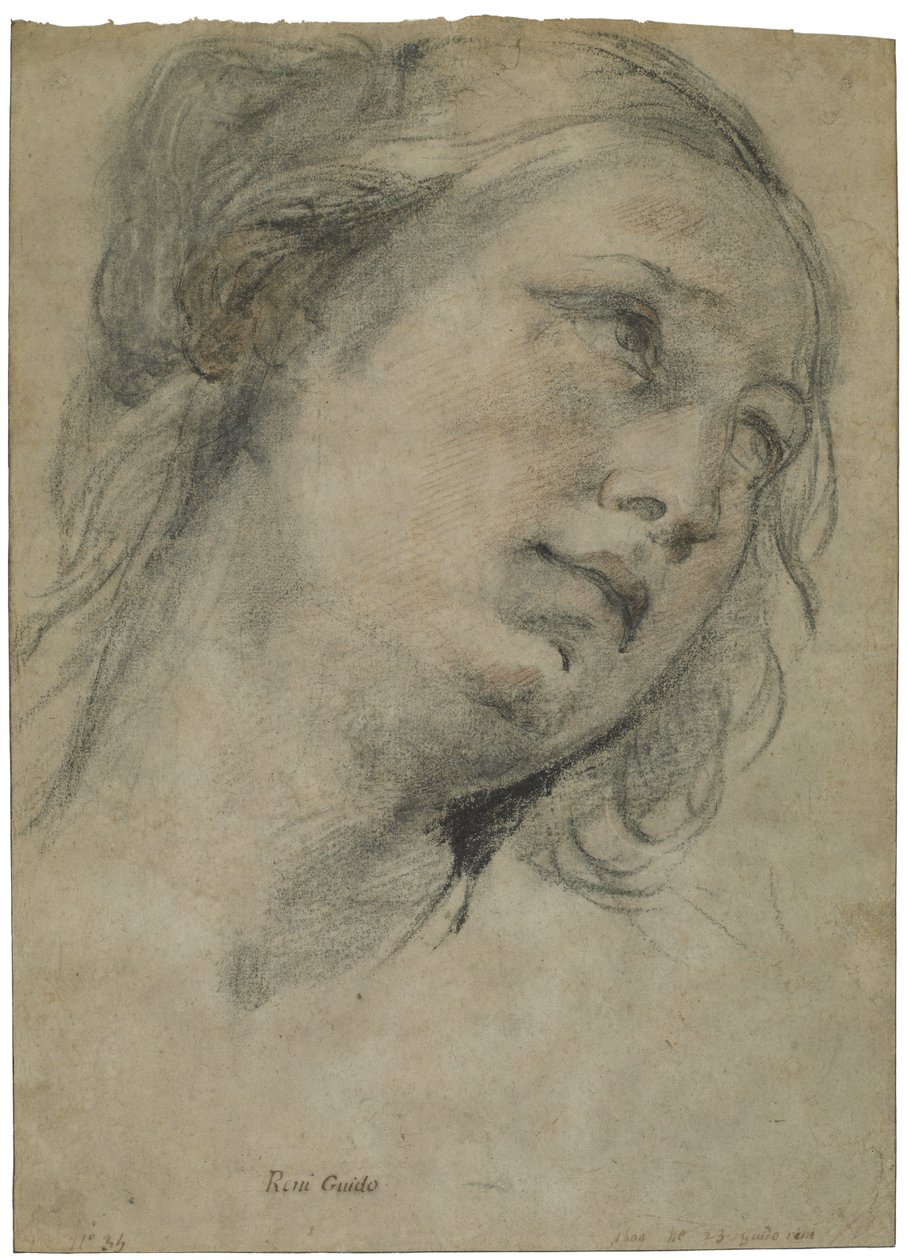 Egy fiatal nő feje felfelé néz, 1609 körül (fekete-vörös kréta fehér krétával, barna fektetett papíron) alkotó: Guido Reni