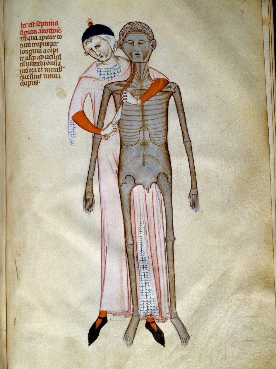 Sebészet: A mellkas boncolása. Miniatűr a "Liber notables Philippi, a frankok hetedik királya, Galien könyveiből kivonat" című filmben, amelyet Gui (Guy) Pavia alkotó: Guido da Vigevano da Pavia