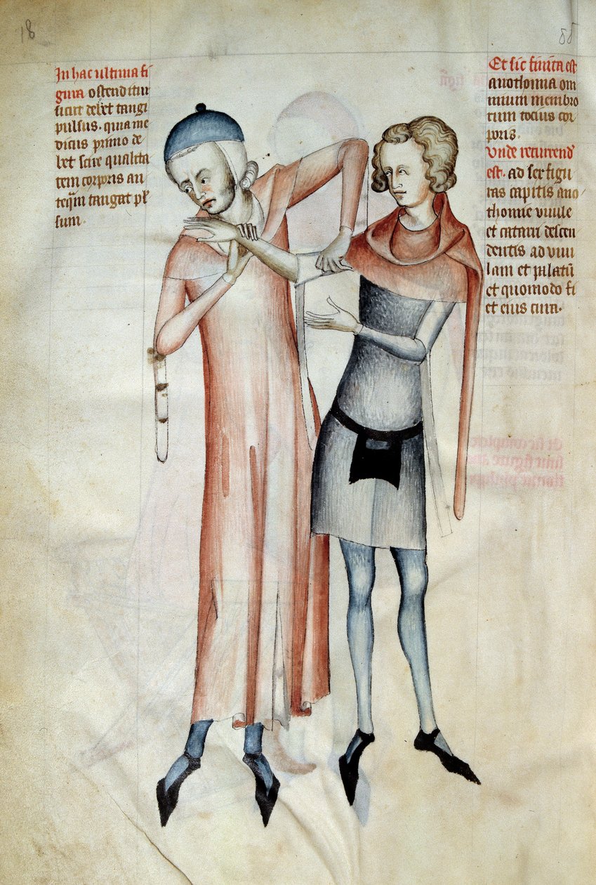 Sebészet: az orvos karnyújtással megvizsgálja páciense ízületeit (Osteopath). Miniatűr a "Liber notables Philippi, a frankok hetedik királya, Galien könyveiből kivonat" című filmben, amelyet Gui (Guy) Pavia alkotó: Guido da Vigevano da Pavia