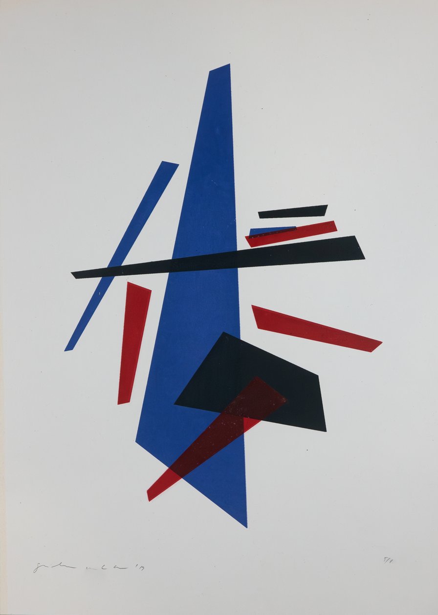 7. tétel, 2019 (szitanyomás) alkotó: Guilherme Pontes