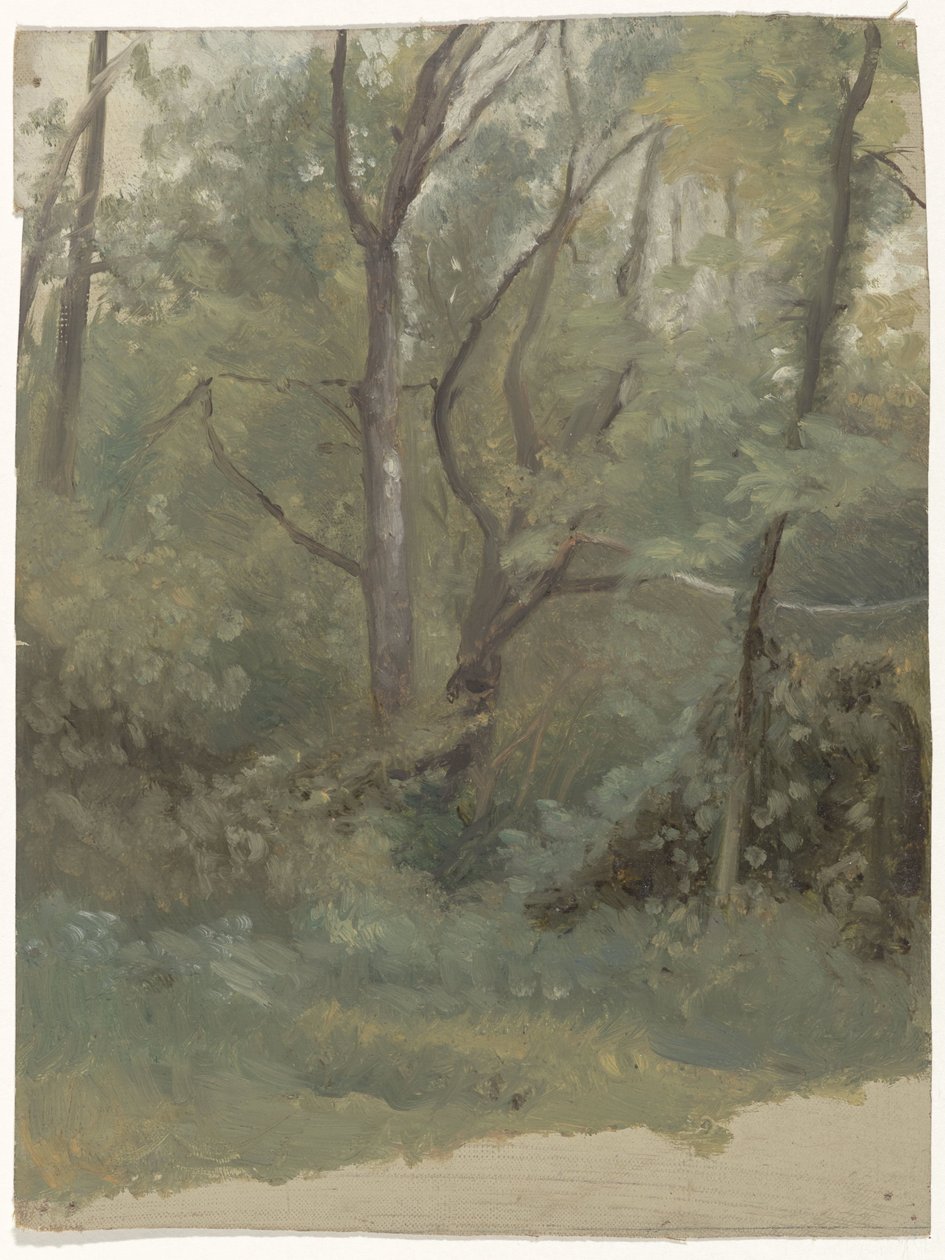 erdő kilátás alkotó: Guillaume Anne van der Brugghen
