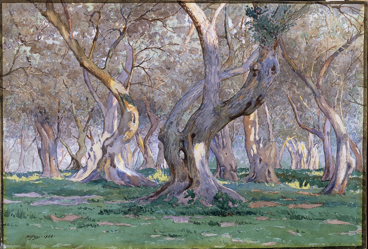 Oak Grove alkotó: Gunnar Widforss