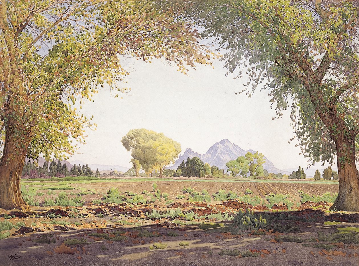 A Salt River Valley (papíron gouache-szal) alkotó: Gunnar Widforss