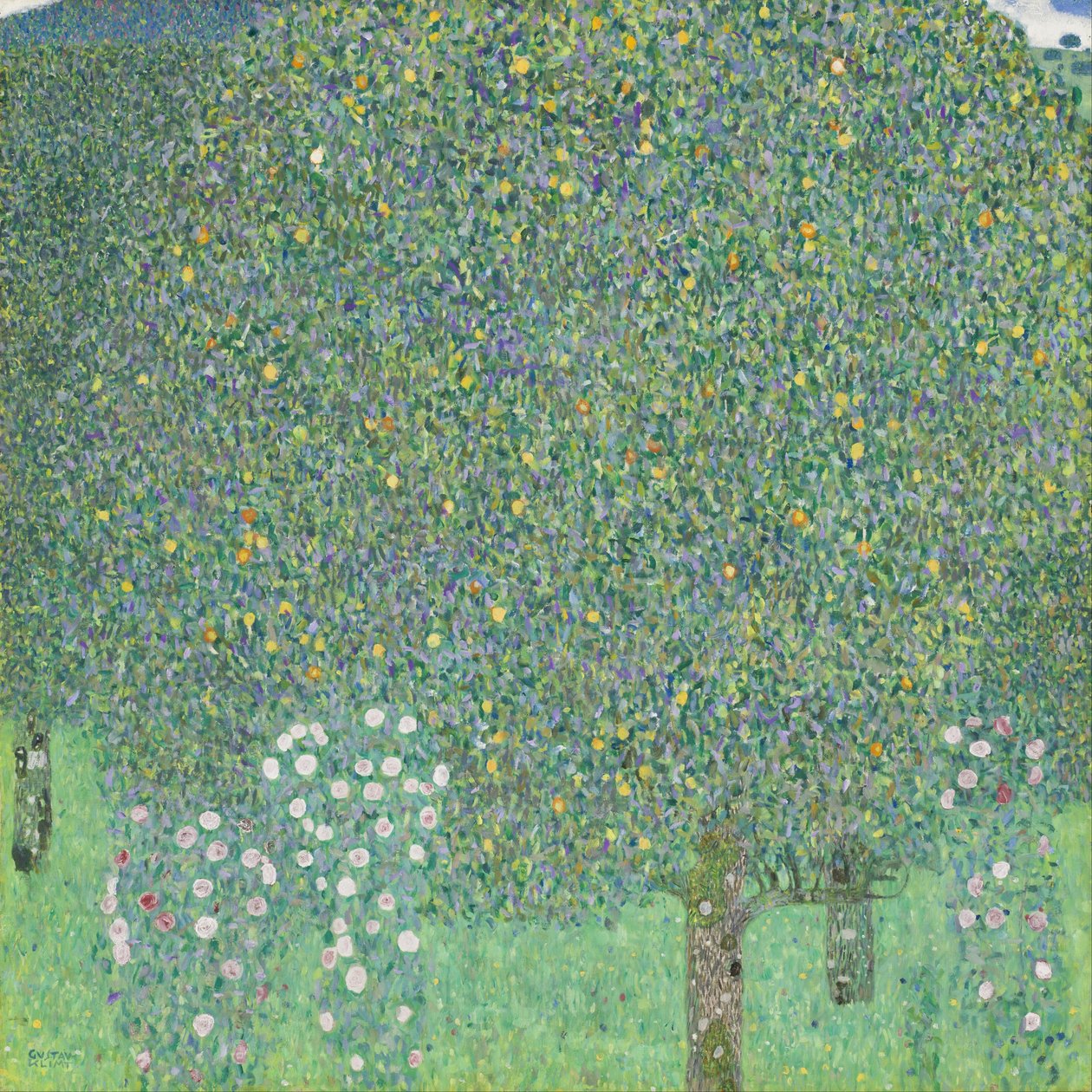 Táncoló nő Cape alkotó: Gustav Klimt