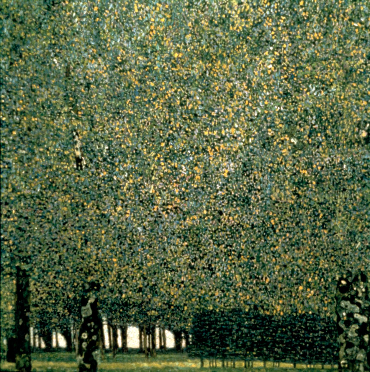 Park, 1910 alkotó: Gustav Klimt