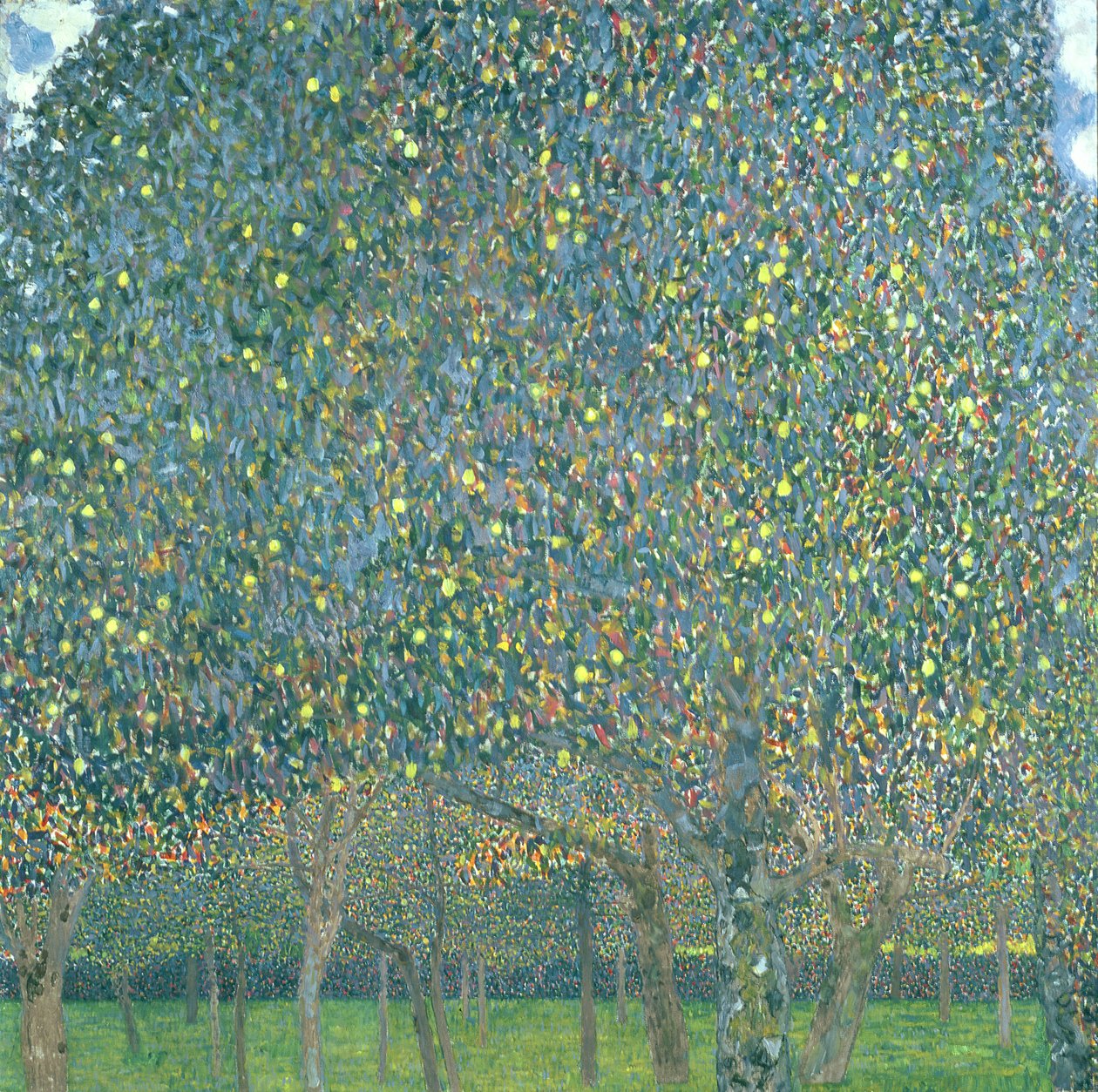 Körtefa, 1903 (olaj és kazein, vászon) alkotó: Gustav Klimt