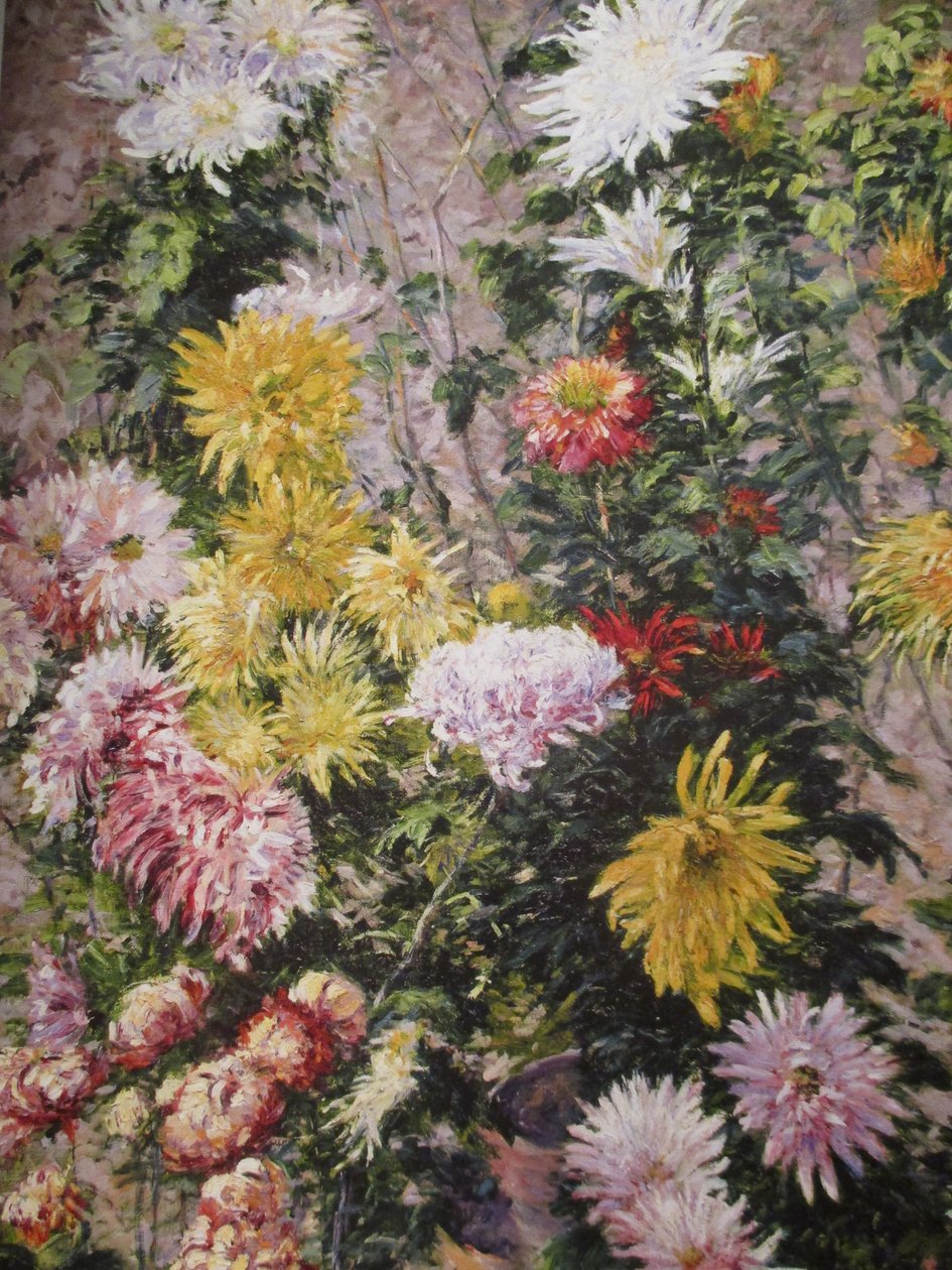 Fehér és sárga krizantémok alkotó: Gustave Caillebotte