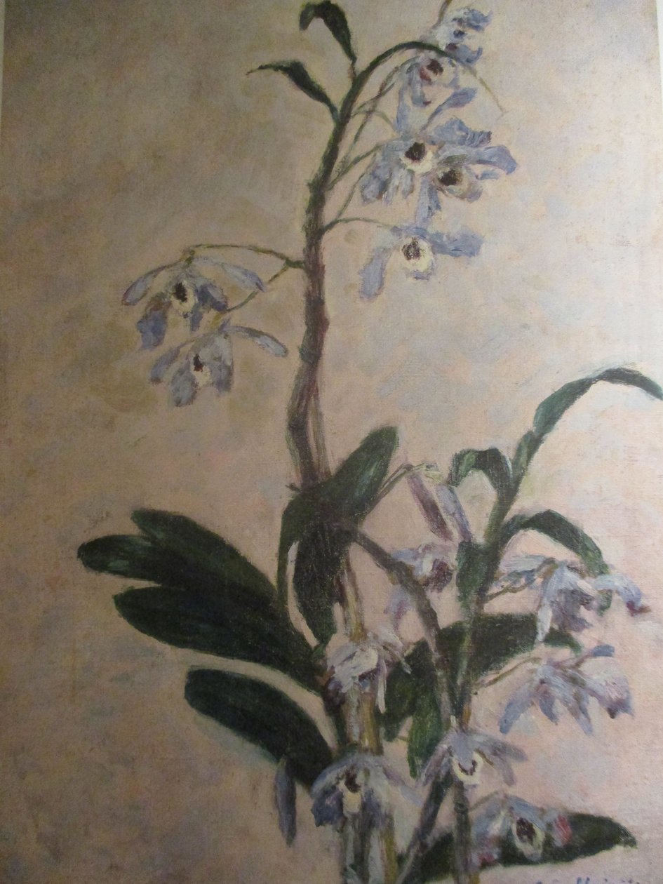Orchideák alkotó: Gustave Caillebotte
