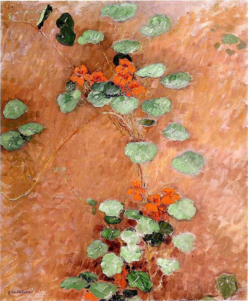 Nasturts alkotó: Gustave Caillebotte