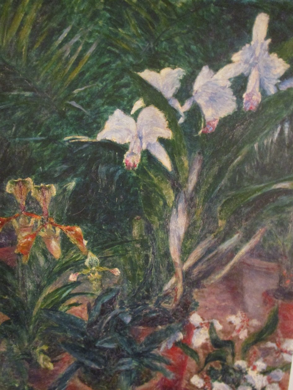 Orchideák a Petit Gennevilliers üvegházban alkotó: Gustave Caillebotte