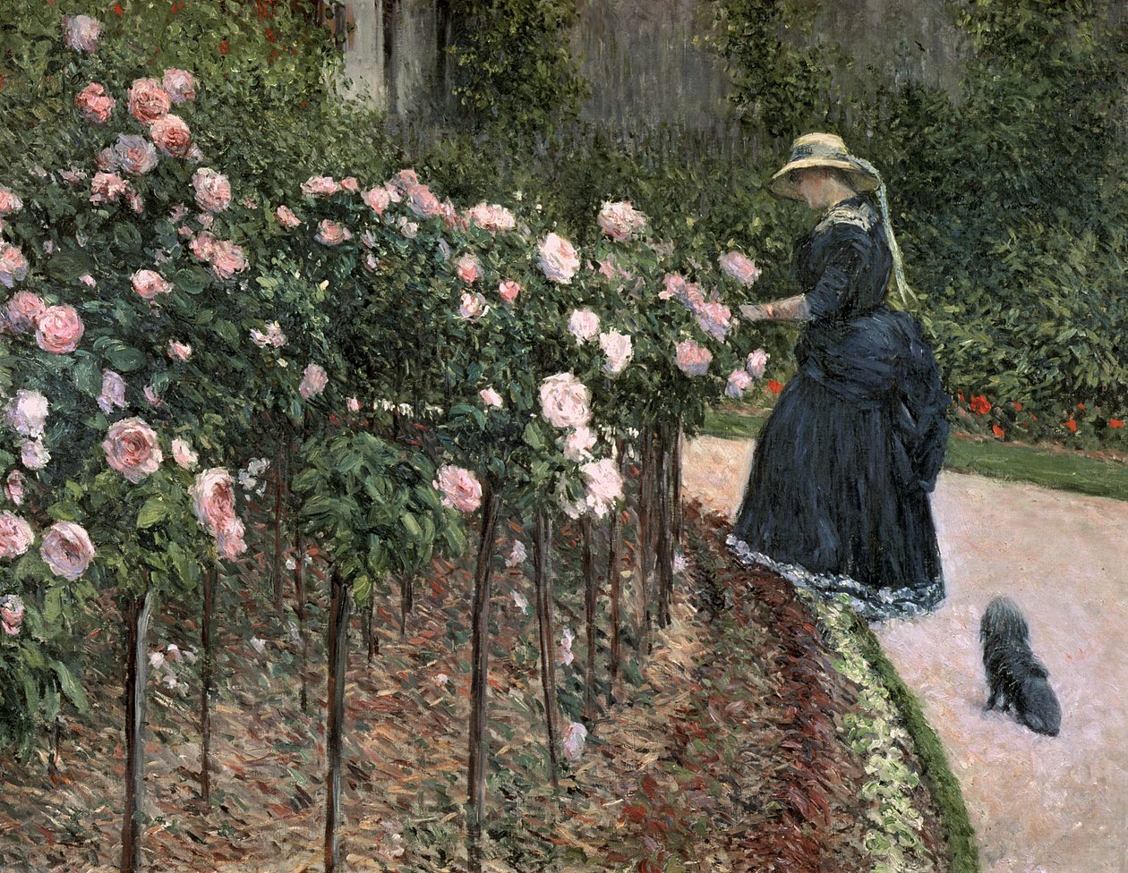 Rózsák a kertben Petit Gennevilliersnél, 1886 alkotó: Gustave Caillebotte