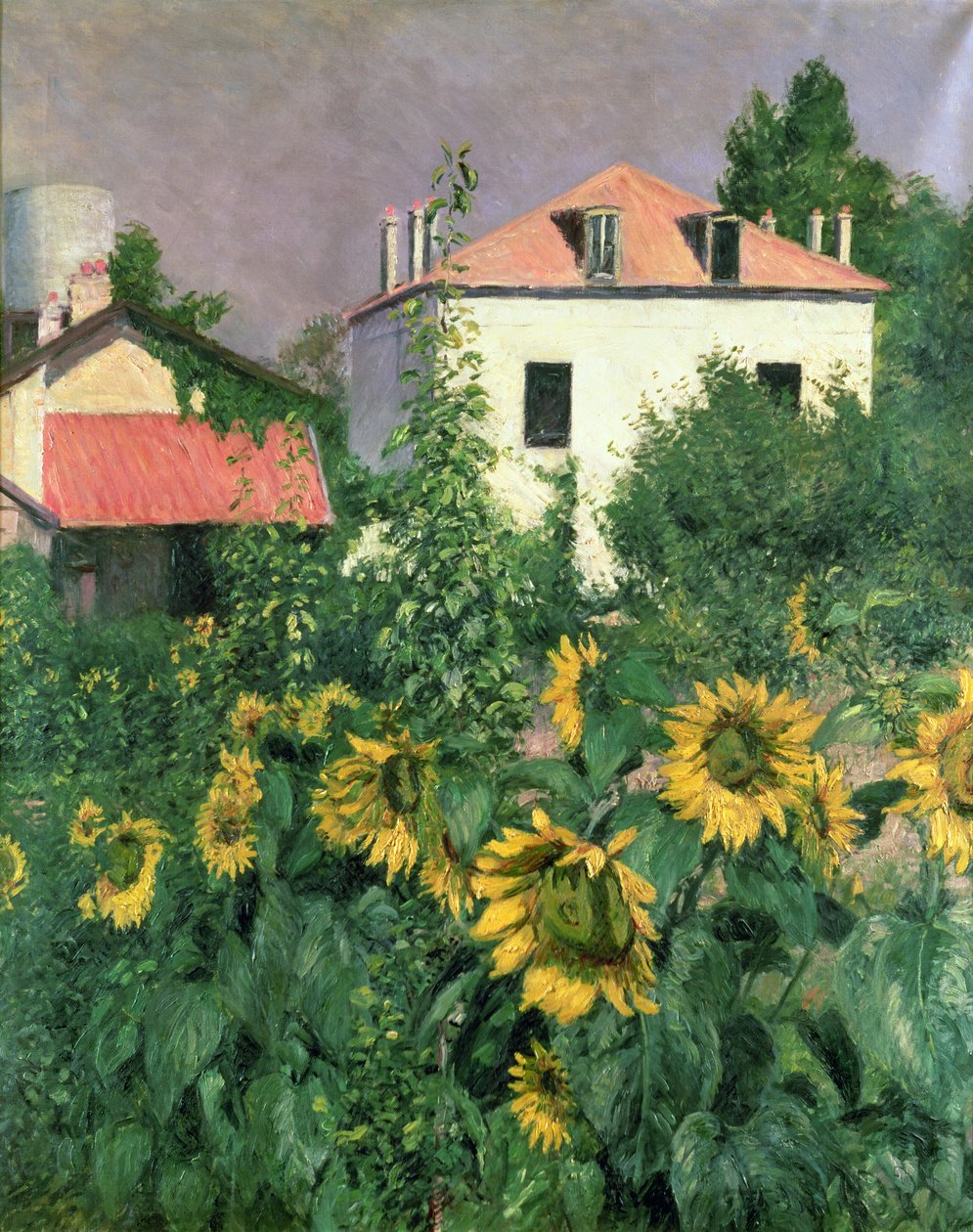 Napraforgók a Petit Gennevilliers kertjében alkotó: Gustave Caillebotte