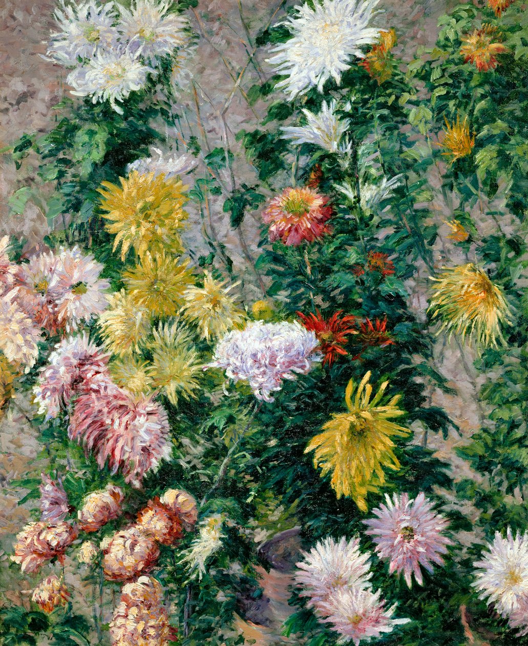 Fehér és sárga krizantém, 1893 alkotó: Gustave Caillebotte