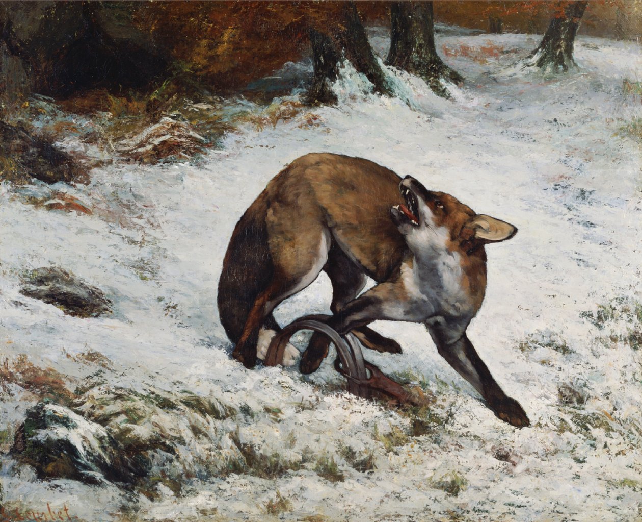 Róka csapdába ejtve alkotó: Gustave Courbet