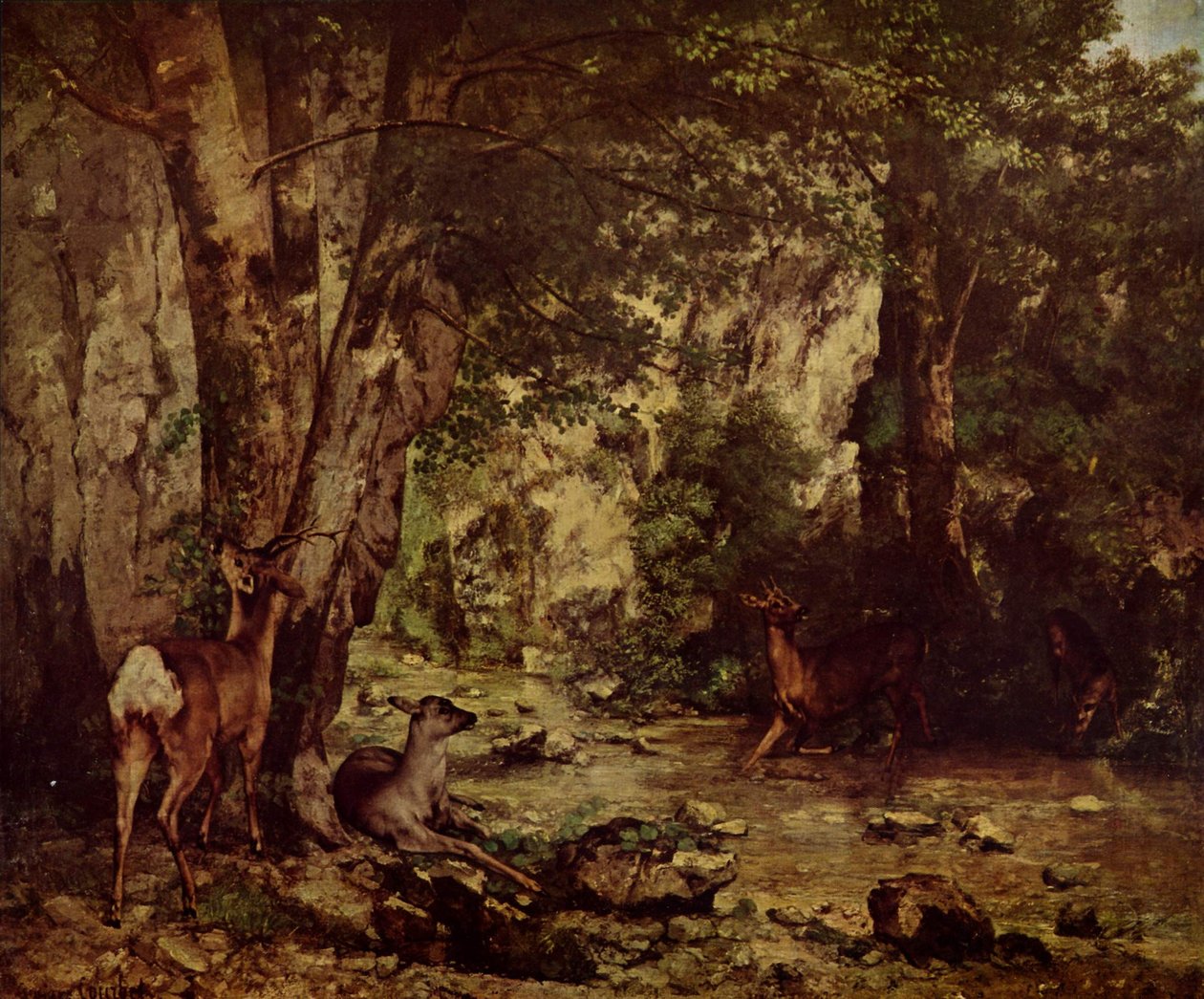 Roebuck az erdőben alkotó: Gustave Courbet
