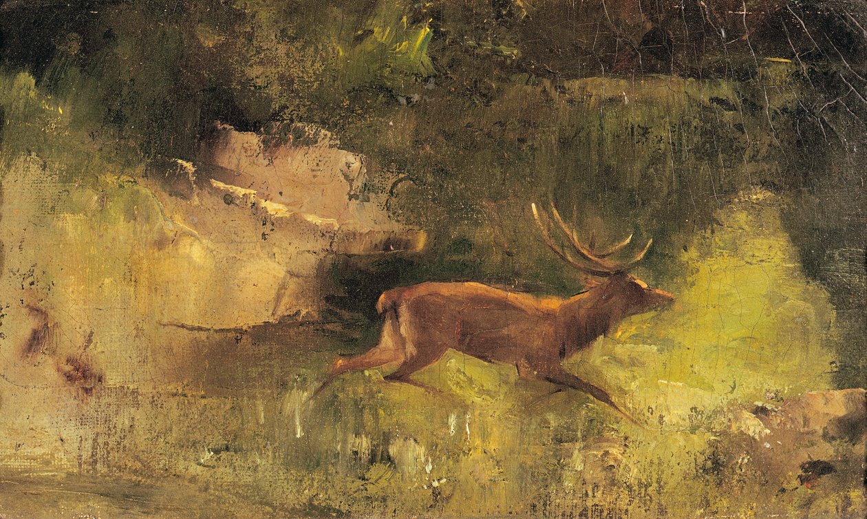 Erdőn át fut a szarvas, 1865 körül alkotó: Gustave Courbet