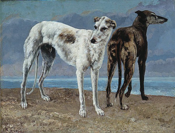 A Comte de Choiseul agárjai alkotó: Gustave Courbet