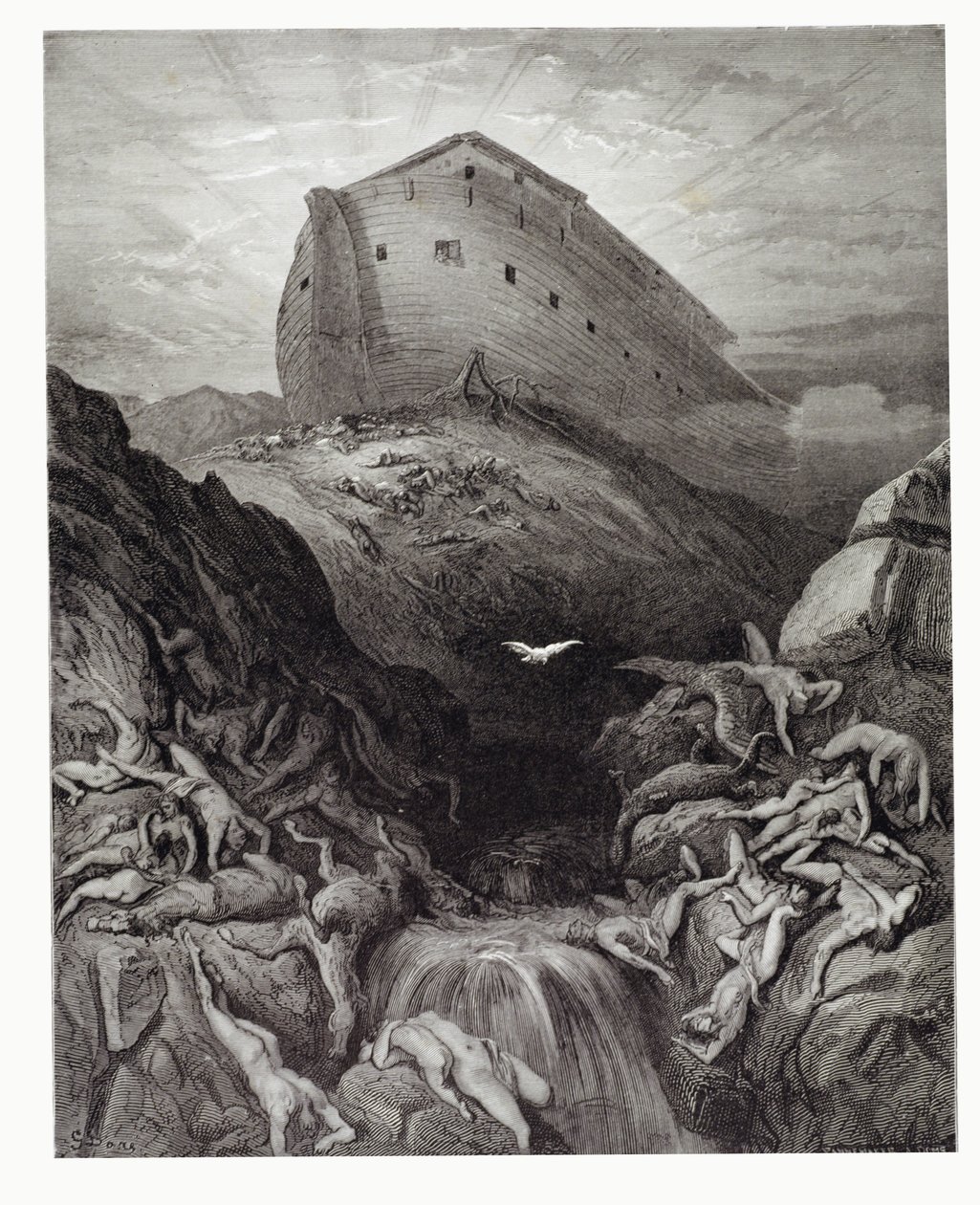 A bárkából kiküldött galamb, vésette Stephane Pannemaker (1847-1930) 1868 körül alkotó: Gustave Dore