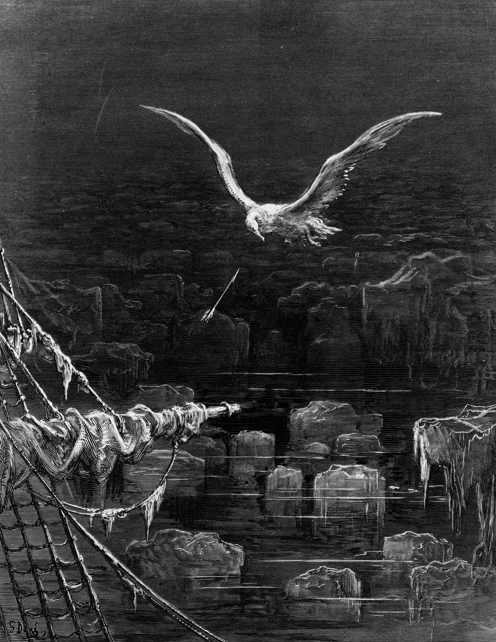 Az albatroszt a Tengerész forgatta, jelenet az ókori tengerészek kora című filmjéből, S.T. Coleridge, szerző: S.T. Coleridge, kiadó: Harper und Brothers, New York, 1876 (fametszet) alkotó: Gustave Dore