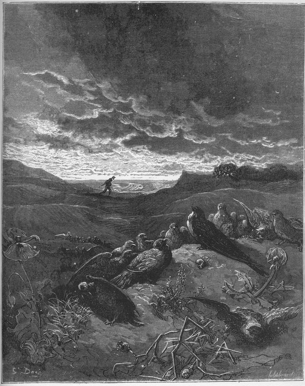 A fecske és a madarak - A fecske és a kis madarak - Jean de La Fontaine (Lafontaine) "Fabuláiból" (1621-95) - metszet Gustave Dore (1832-83) után - Magángyűjtemény alkotó: Gustave (after) Dore