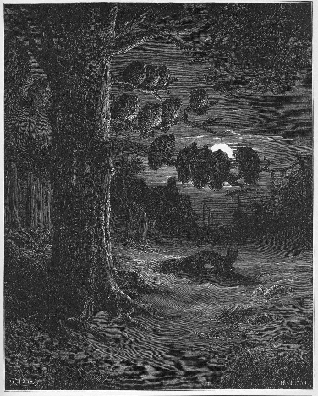 India róka és csirkék - Jean de La Fontaine (Lafontaine) (1621-95) meséiből - Gustave Dore (1832-83) utáni metszet - Magángyűjtemény alkotó: Gustave (after) Dore