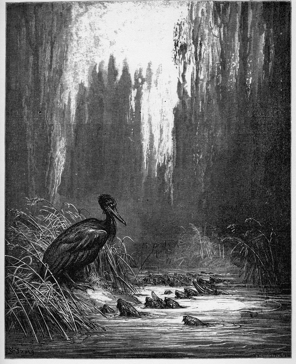 hal és kormorán - hal és kormorán - Jean de La Fontaine (Lafontaine) "Fables"-jából (1621-95) - gravír Gustave Dore (1832-83) nyomán - Magángyűjtemény alkotó: Gustave (after) Dore