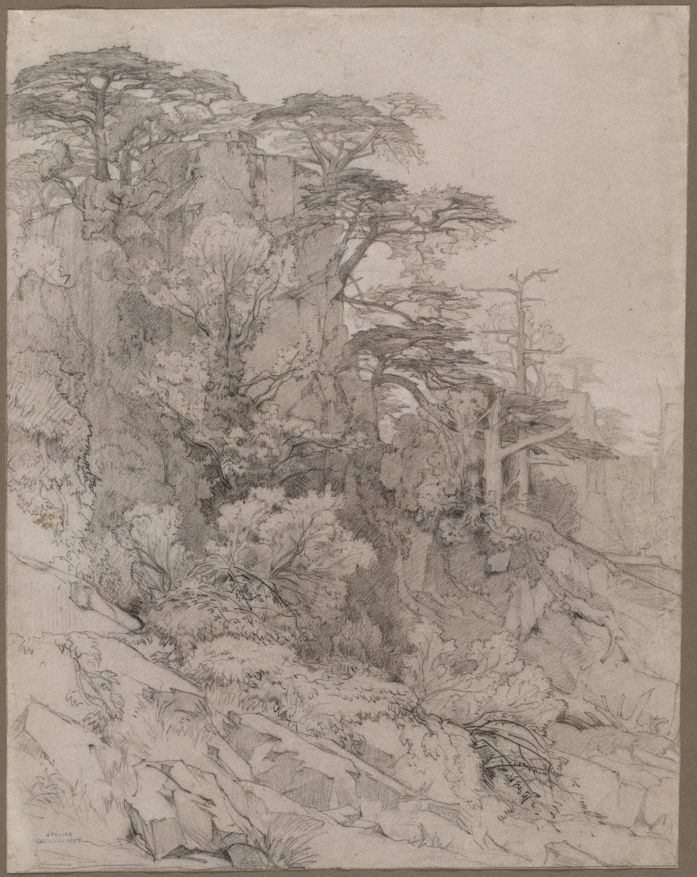 Egy sziklás domboldal fái, 1800-as évek vége. alkotó: Gustave Achille Guillaumet