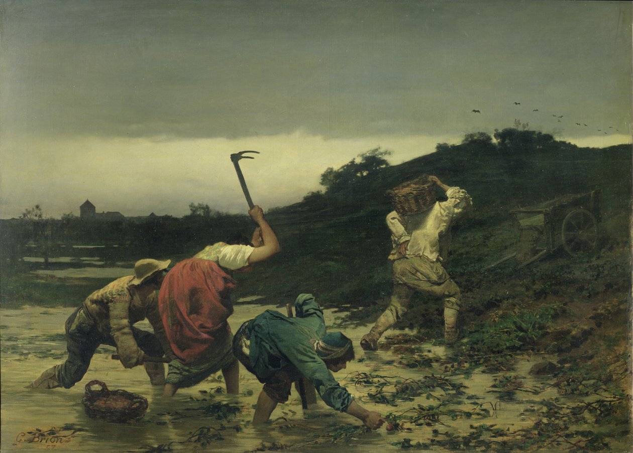 Parasztok burgonyát szedtek az 1852-es Rajna áradása idején alkotó: Gustave Brion