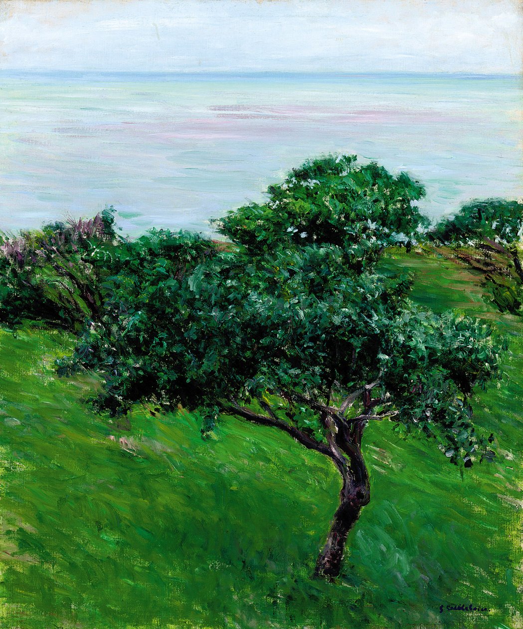 Almafák a tenger mellett, Trouville, 1880 alkotó: Gustave Caillebotte