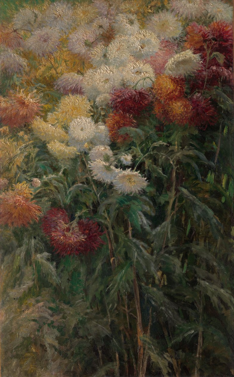 Krizantémok a Petit-Gennevilliers kertjében alkotó: Gustave Caillebotte