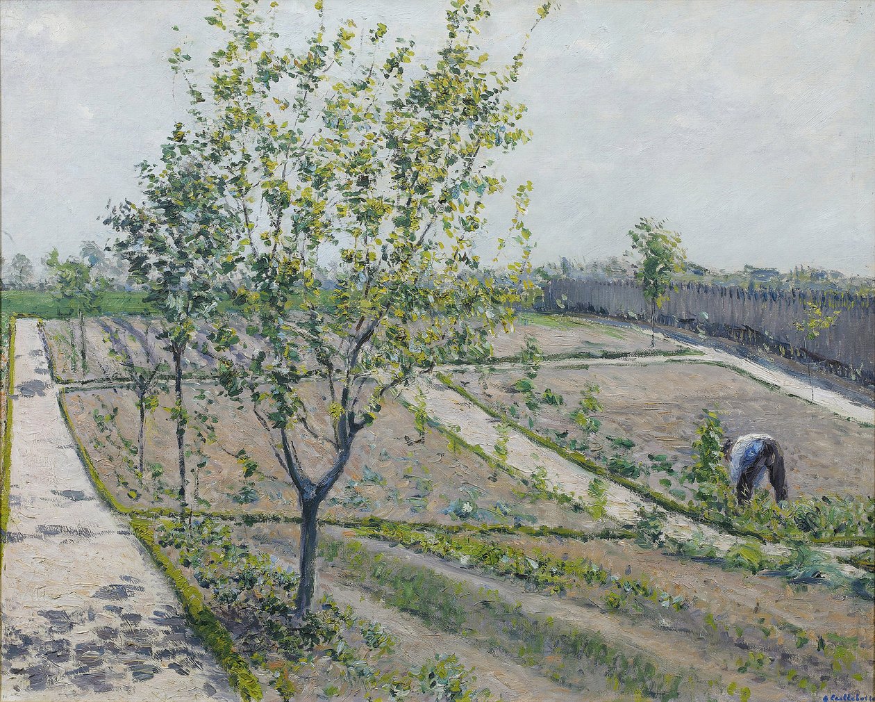 Kitchen Garden, Petit Gennevilliers – Gustave Caillebotte (1848-1894). Olajfestmény alkotó: Gustave Caillebotte
