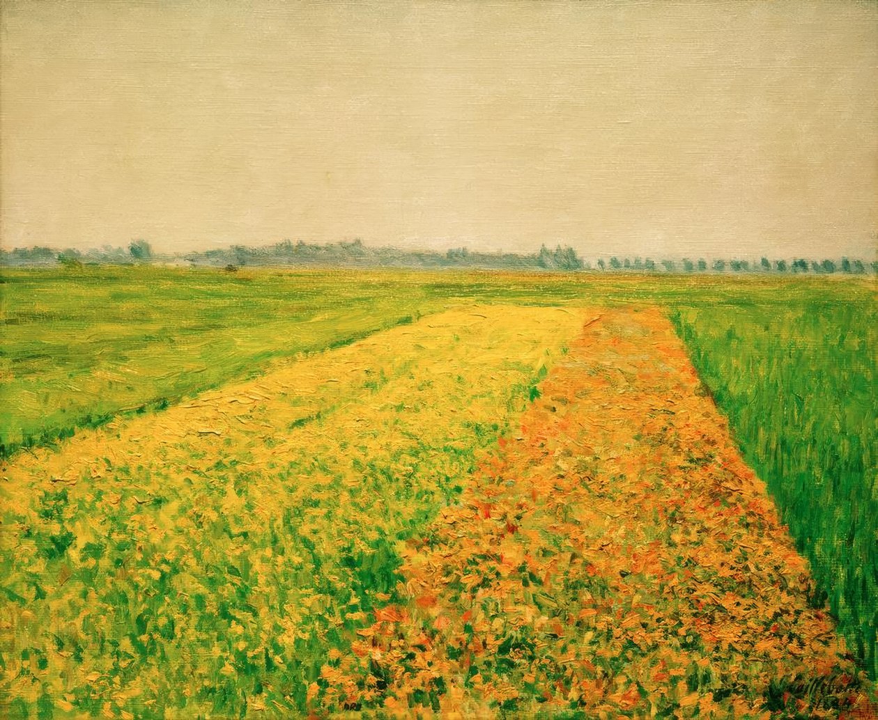 Gennevilliers síksága, sárga mezők alkotó: Gustave Caillebotte