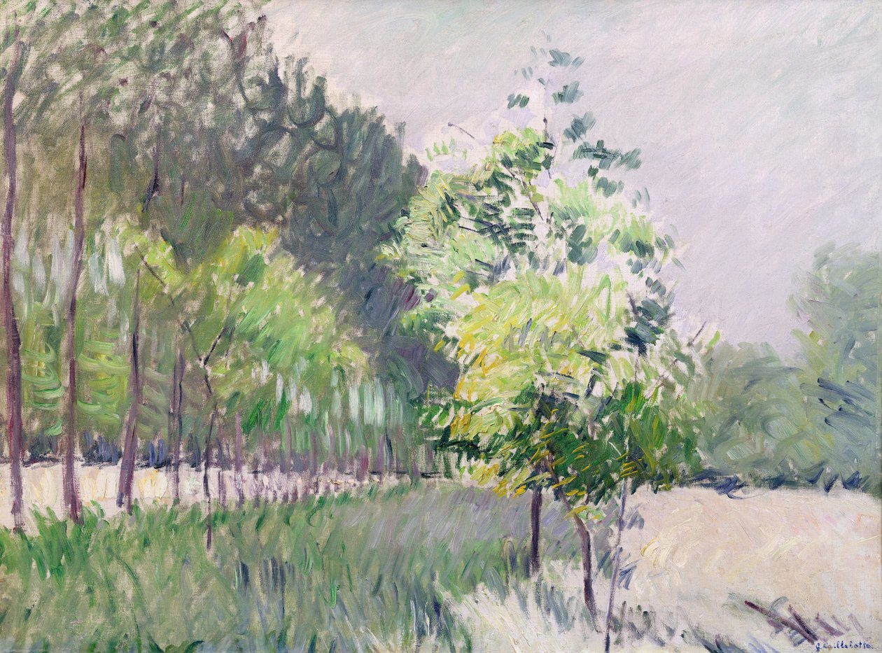 Gyümölcsöskert és fák sugárútja alkotó: Gustave Caillebotte