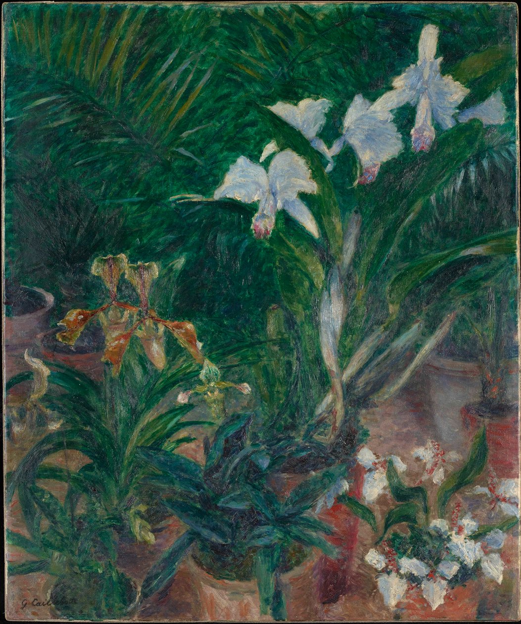 Orchideák a Petit Gennevilliers üvegházban, 1893. alkotó: Gustave Caillebotte