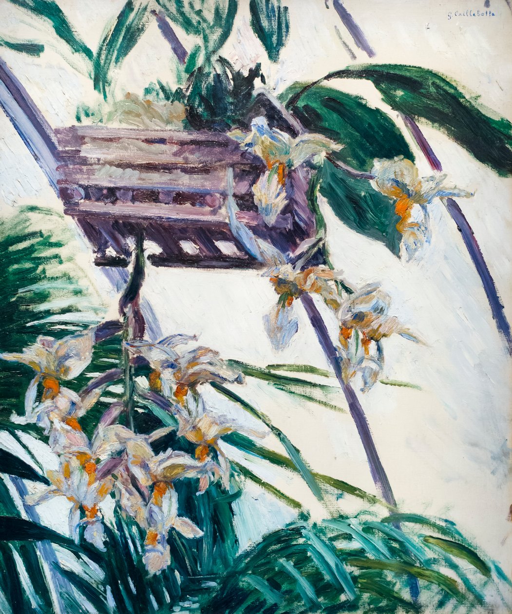 Orchideák, c. 1893 (olaj, vászon) alkotó: Gustave Caillebotte