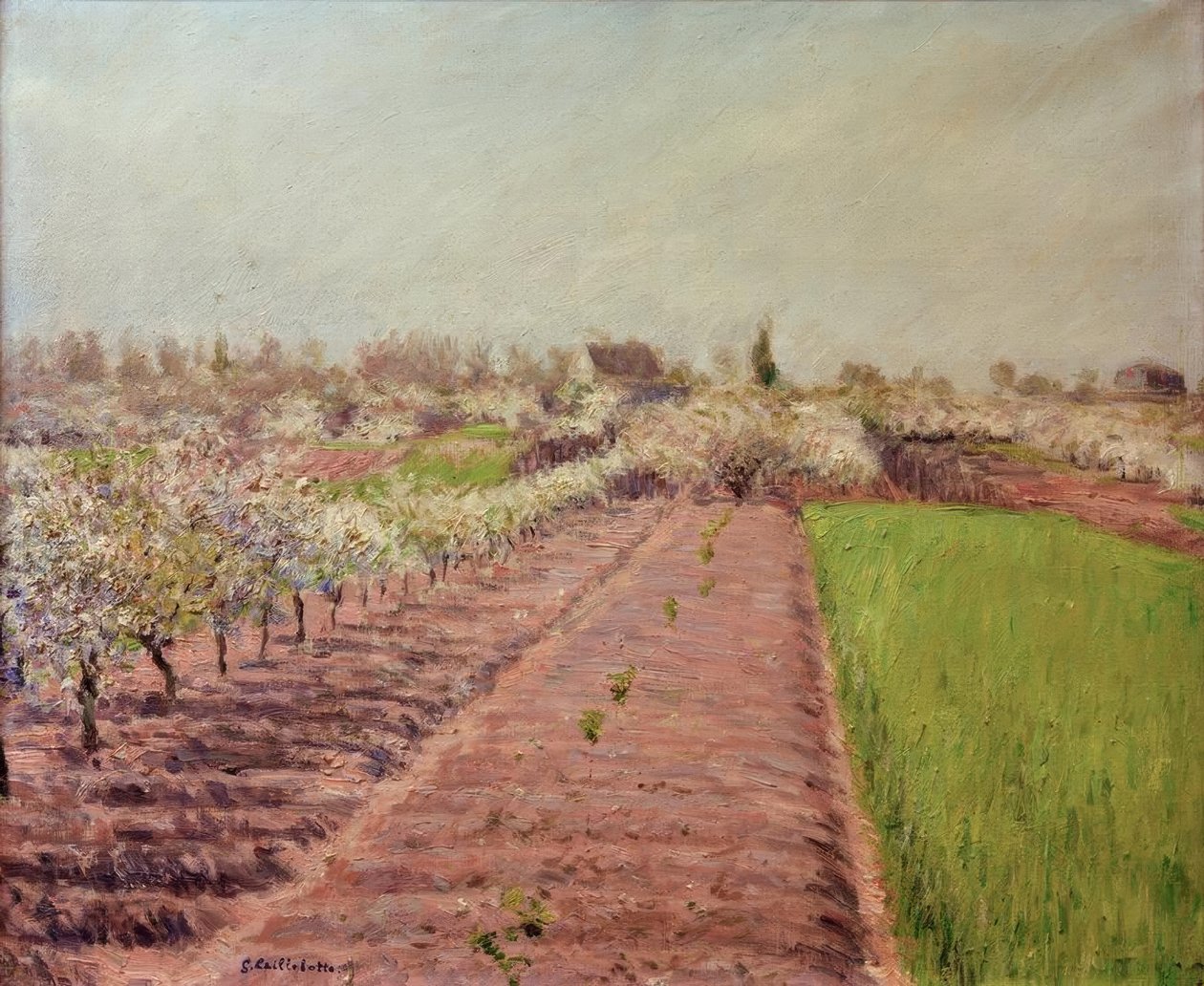 Virágzó almafák, Colombes domboldalán alkotó: Gustave Caillebotte